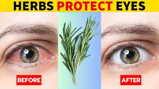Discover 7 Potent Herbs for Eye Health and Vision Restoration!
