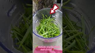 น้ำต้นอ่อนข้าวสาลี เพื่อสุขภาพ | Wheatgrass shot #วีทกราส #wheatgrass #superfood