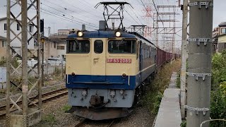 [4時間以上遅延] 11月28日小田栄駅 新鶴見A64運用 78レ EF65 2089