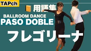 【社交ダンス】フレゴリーナ《パソドブレ》困ったときの用語集