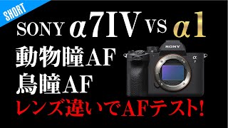 AFテスト SONY α7IV VS α1玩具で動物・鳥瞳AF TAMRON 28-200 FE70-200 GM2等レンズの違いもAFにでる！