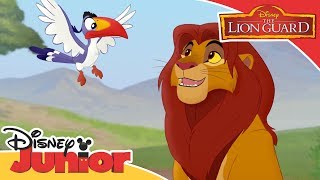 The Lion Guard - Duties of a King