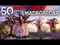 50 FACTS About Madagascar You Didn't Know About