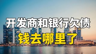 房地产让经济高速发展，但开发商银行和老百姓都负债，钱去哪了？