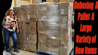 Unboxing a Pallet of Home goods, Toys, kitchen, stationary and more! Check it out!