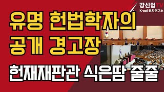 유명 헌법학자의 공개 경고장 /헌재재판관 식은땀 줄줄