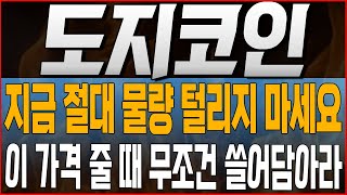 [도지코인 코인전망] 지금 절대 물량 털리지 마세요! 이 가격 줄 때 무조건 쓸어담아라!! #도지코인호재 #도지코인목표가 #도지코인대응 #doge