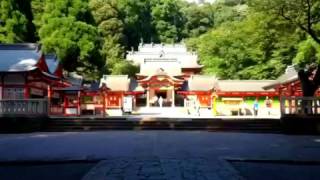 鹿児島霧島神宮　蝉時雨(Kagoshima Kirisima Shrine Outburst of cricket chirping)