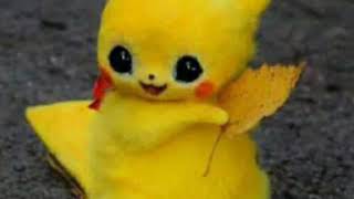 Pika Pika Bitch