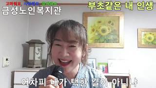 금성노인복지관 온라인 강의 - 가요교실편