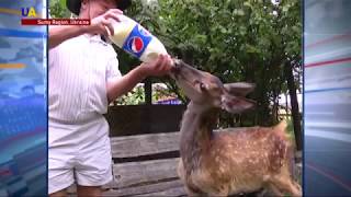 Local Zoo Introduces Visitors to Deer, Ostriches, and More