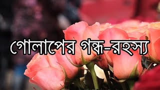 গোলাপের গন্ধ-রহস্য । LSTHN । EWVR ।