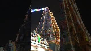 Vadapalani Murugan temple | Karthigai Deepam #shorts