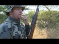 Ryan Sleater Buffalo @ Motshwere Safaris and Outfitters