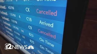 Flight delays and cancellations continue amid the government shutdown