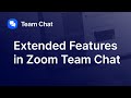 Extended Features in Zoom Team Chat
