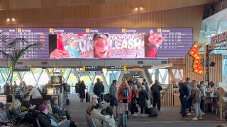 Mind-Blowing 3D Illusion Billboard at Wellington Airport | Wētā Workshop Unleashes Giant Troll!