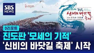 진도판 '모세의 기적'…'신비의 바닷길 축제' 시작 / SBS / #D리포트