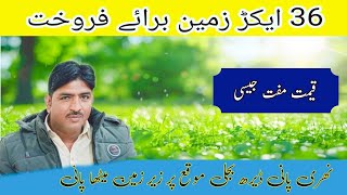 36 Acer agriculture land for sale in Punjab Pakistan || jameen for sale || land for sale