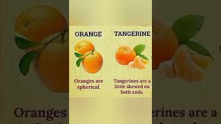 Orange vs tangerine #fruits #howtolearnwordmeaning #names of fruits