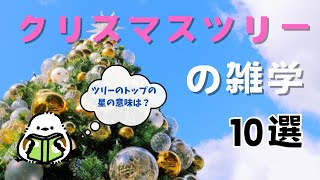 【ゆる解説】クリスマスツリーはいつから？飾り一つ一つには意味がある！