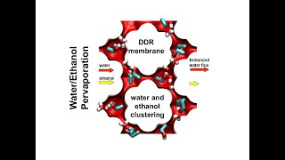 Water/Ethanol Pervaporation