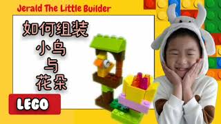 乐高组装教学|牛宝教学如何组装LEGO小鸟与花朵（Lego Classic 11002）