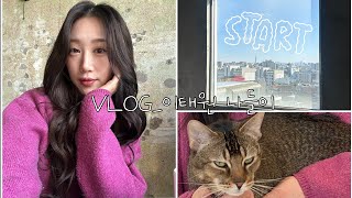 [VLOG] 고양이 카페 갔다가 간택 받은 썰