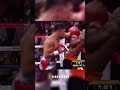 Mayweather Knocks out Headbutter 😮‍#viral #shorts #floydmayweather #boxing