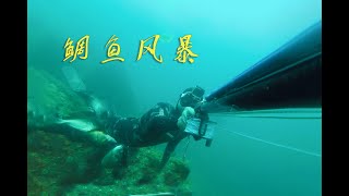 这次闯入鲷鱼的集结地，左冲右突应接不暇。Hunt the largest snapper 7lbs with parasitic fish to follow