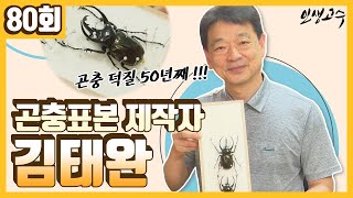 곤충 덕후 50년째! 곤충표본제작사 김태완 ㅣ 인생고수 [80회] / YTN 라이프