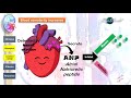 biology stpm osmoregulation 2 aldosterone