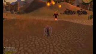 mage vs warrior level 28 World of Warcraft