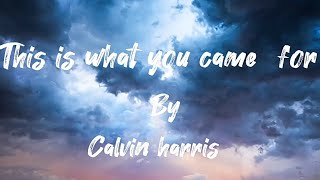this is what you came for english lyric song by Calvin harris