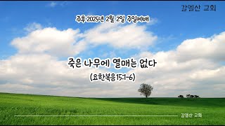 주후 2025년 02월 02일 주일예배[죽은 나뭇가지에 열매는 없다; 요151-6]