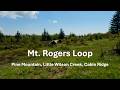 Mt. Rogers Loop - Pine Mountain, Little Wilson Creek, Cabin Ridge