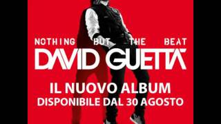 David Guetta - 'Nothing But The Beat' track by track