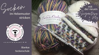 Socken stricken im Hebemuster / zweifarbig / Fair Isle für Anfänger