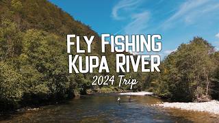 Lavezzinifly - Fly Fishing Kupa River 2024 Trip [dry fly and nymph fishing grayling and trout]