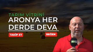 ARONYA YETİŞTİRİCİLİĞİ | TARIM VİTRİNİ