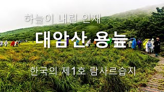 사진으로 떠나는 감성여행 - 대암산 용늪 한국 제1호 람사르 등록 습지 Korean Beautiful Landscapes