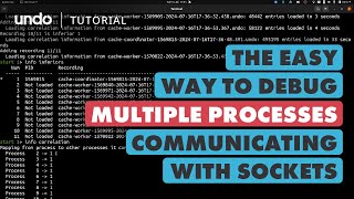 Multi-Process Debugging: Track IPC & Fix Bugs with UDB & LiveRecorder - Sockets in C Programming