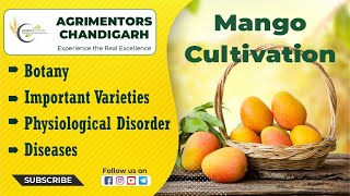 Mango Cultivation || आम की खेती || Important Varieties || Physiological Disorder || AFO || HDO