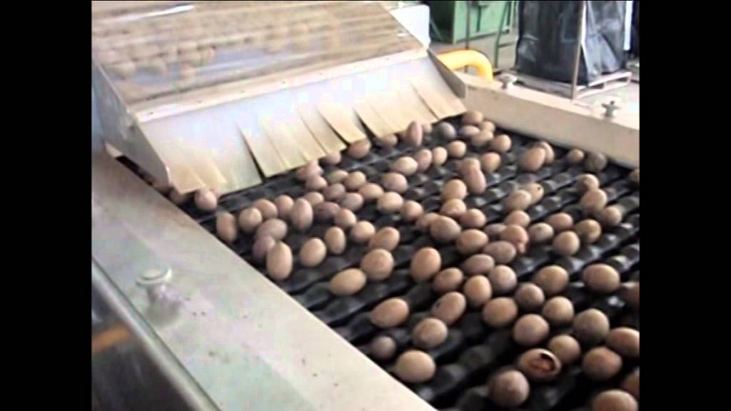 Multiscan S30p Youtube