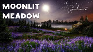 🌕 Moonlit Spring Meadow ASMR Ambience ⭐️🦉 Campfire, Crickets, Owls, Gentle Lapping Waves