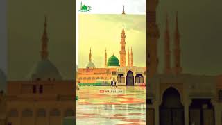 Islamic Short Video // Dildar Bade Aaye Naat Status // Madina Sharif Status // Islamic Status 2021