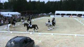 Quadrille - 8 dressage horses