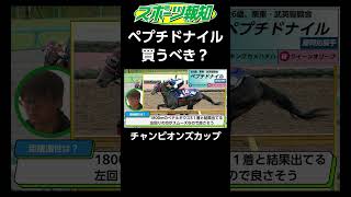 【チャンピオンズカップ2024】ペプチドナイルの不安要素は？レモンポップ、サンライズジパング＆武豊、ウィルソンテソーロに勝てる？