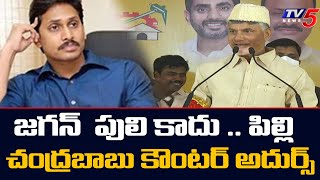 జగన్ పులి కాదు .. పిల్లి : Chandrababu Naidu Satires on CM Jagan Over AP Special Status | TV5 News