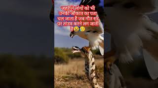 जहरीले लोगों को भी उनकी औकात का पता चल जाता है जब मौत💯#imotionalshortsvideo 😥#subscribemychannel👍💯👌😫